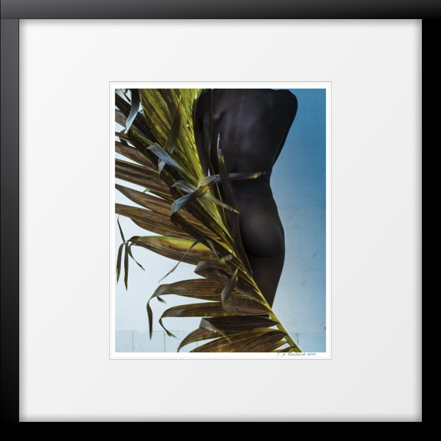Palm leaf #01